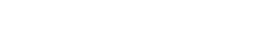Visa Payment